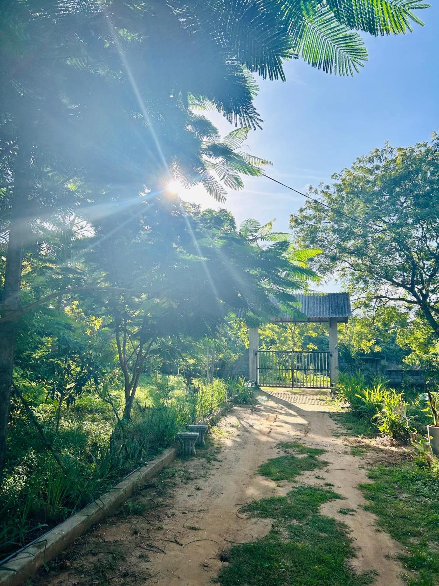 Neem Holiday Bungalow Yala Tissamaharama Dış mekan fotoğraf
